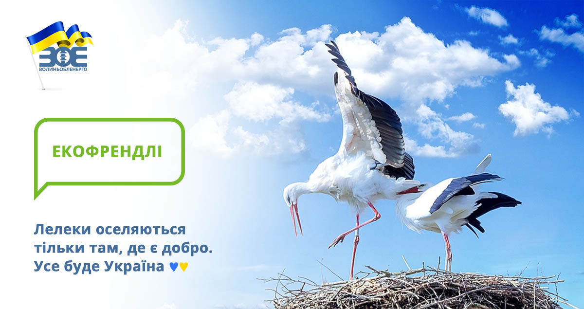 Енергетики облаштовують зручні та безпечні «квартири» для лелек 