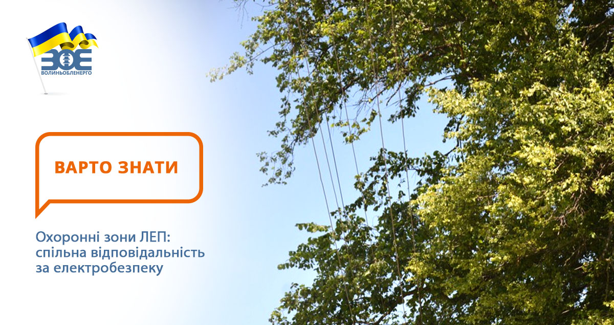 Охоронні зони ЛЕП: спільна відповідальність за електробезпеку