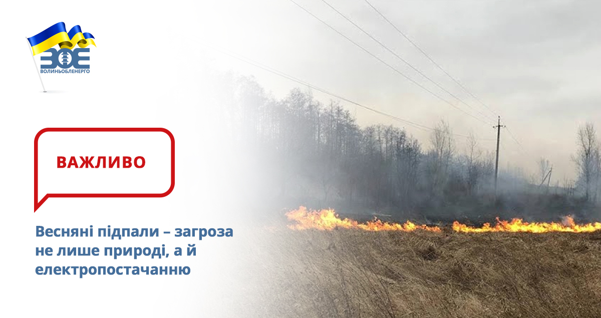 Весняні підпали – загроза не лише природі, а й електропостачанню
