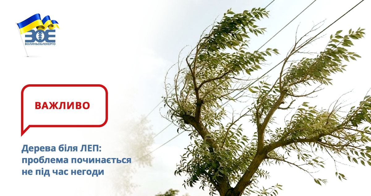 Дерева біля ЛЕП: проблема починається не під час негоди
